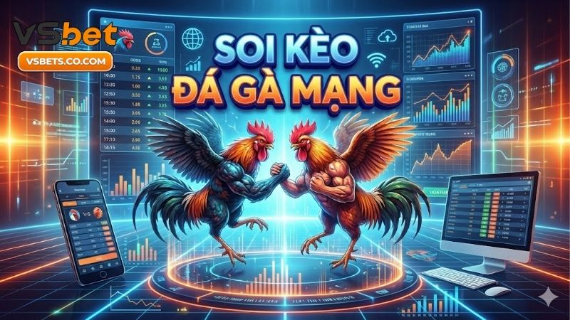 Livescore bóng đá、Dự đoán WC、Tỷ lệ kèo WC、Nhận định bóng đá、Soi kèo WC 2026soi-keo-da-ga-mang-bi-quyet-chon-chien-ke-thang-ty-le-cao