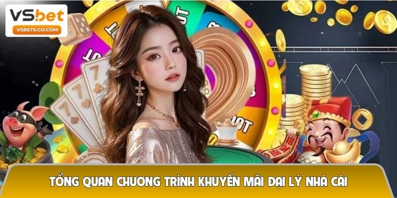 Livescore bóng đá、Dự đoán WC、Tỷ lệ kèo WC、Nhận định bóng đá、Soi kèo WC 2026Tổng quan chương trình khuyến mãi đại lý nhà cái